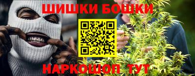 дмт Донской