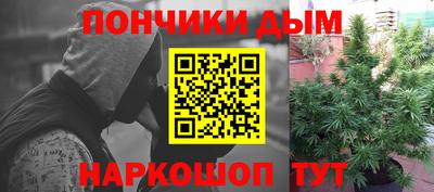 прущие грибы Донецк