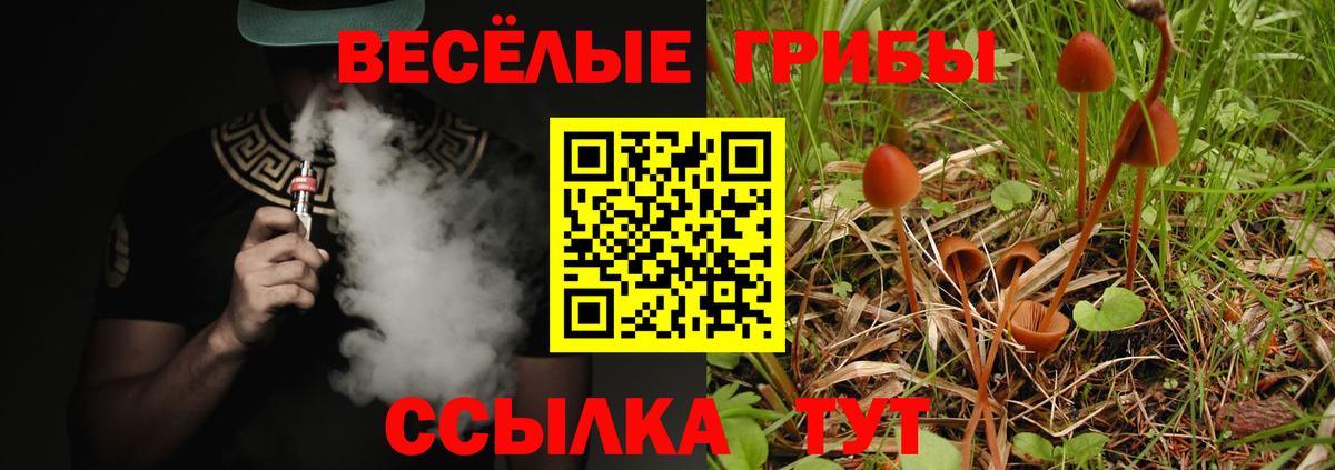 Малгобек  Псилоцибиновые грибы Psilocybine cubensis  Вход с VPN 