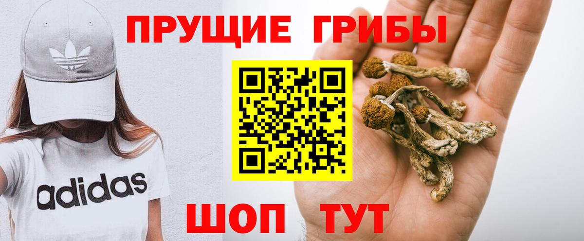 Псилоцибиновые грибы GOLDEN TEACHER Малгобек
